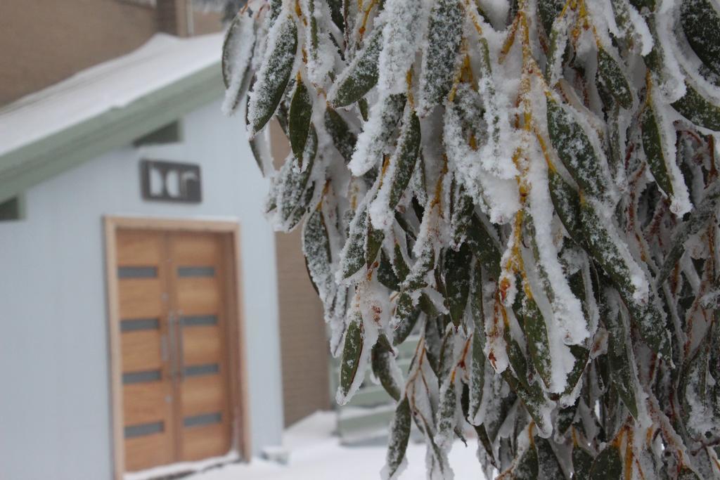 Alpine Retreat Mt Buller Hotel Mount Buller Exterior foto